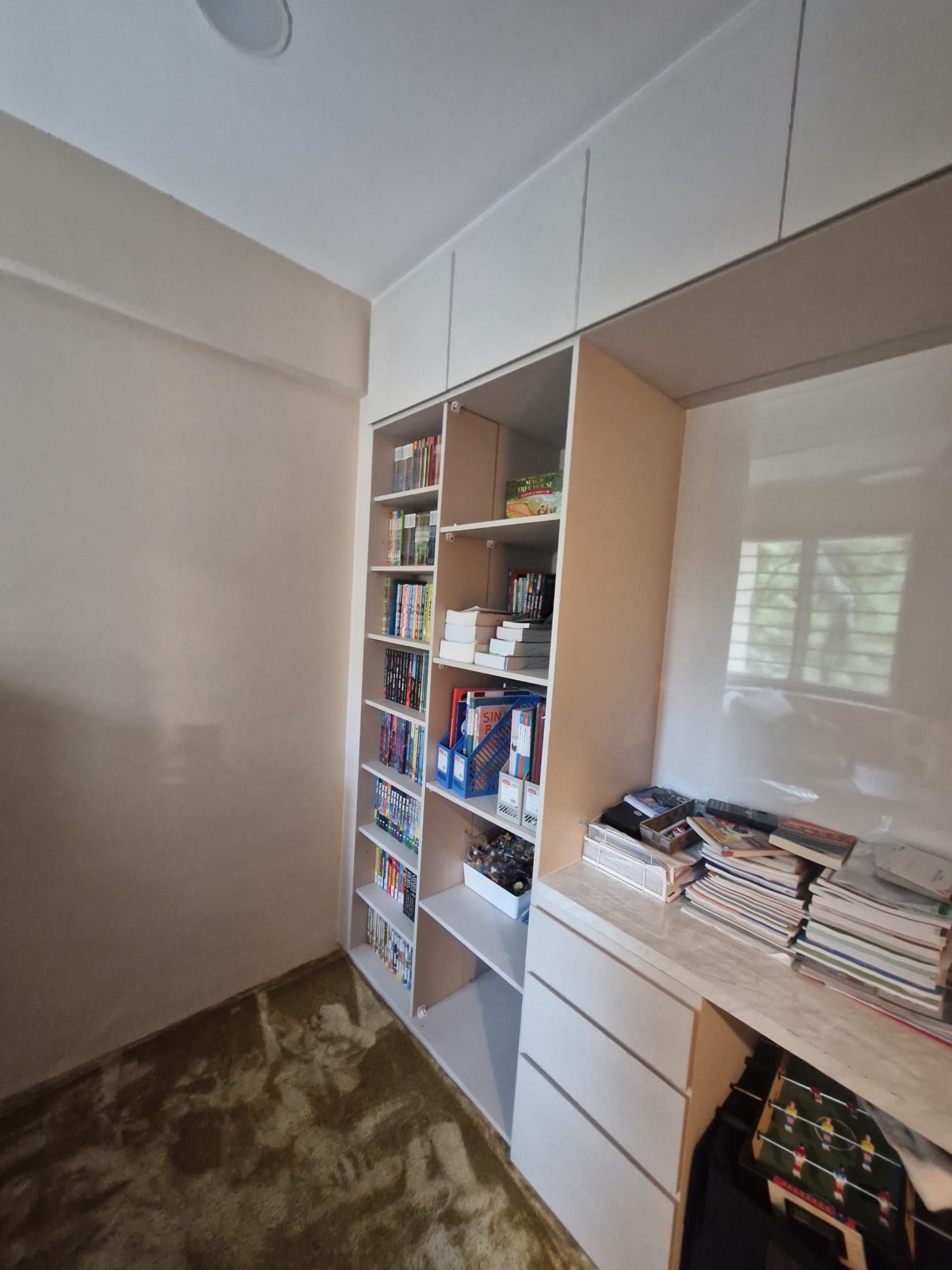 Reno & Remodel project 9