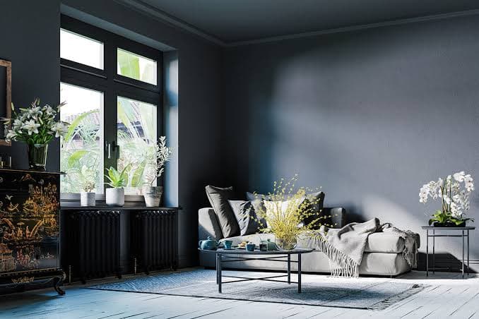 Interior Wall & Ceiling Painting